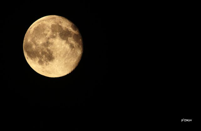 album/083 luna2014.jpg